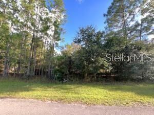 待售: $14,990 (0.50 acres)