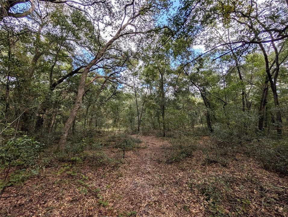 待售: $22,000 (1.00 acres)