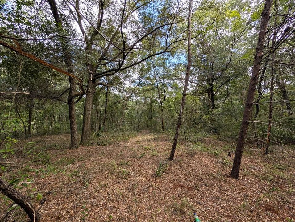 待售: $22,000 (1.00 acres)