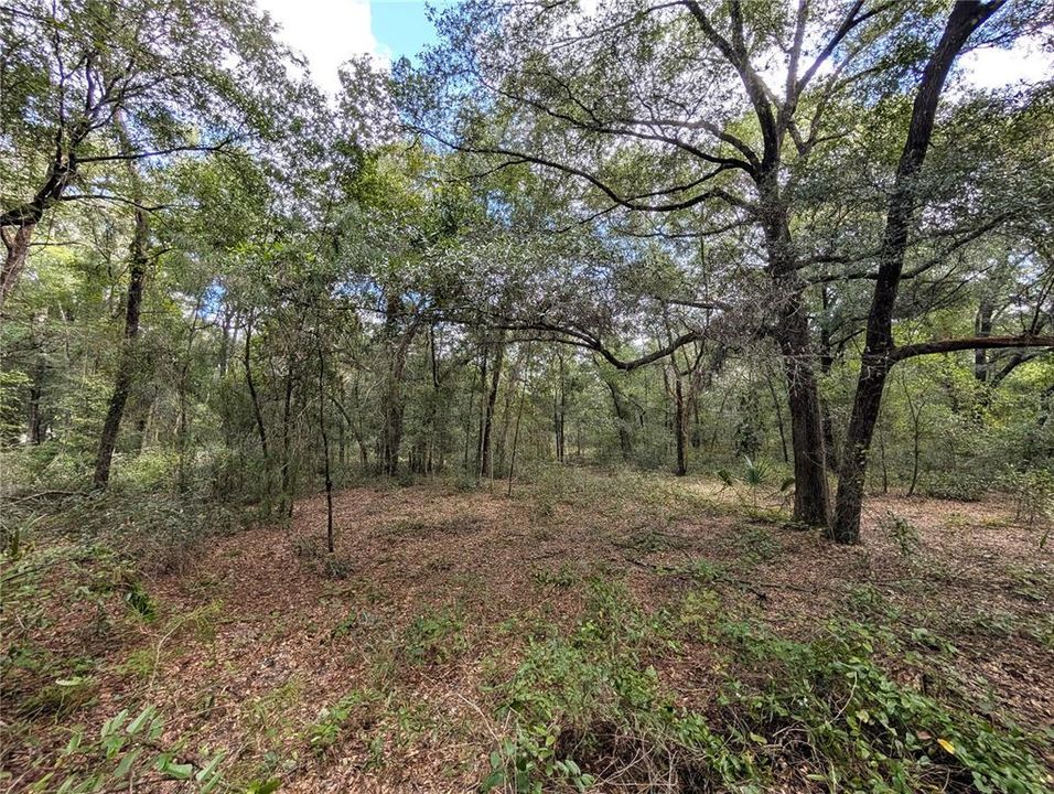 待售: $22,000 (1.00 acres)