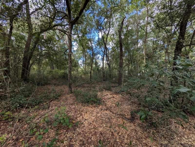 待售: $22,000 (1.00 acres)