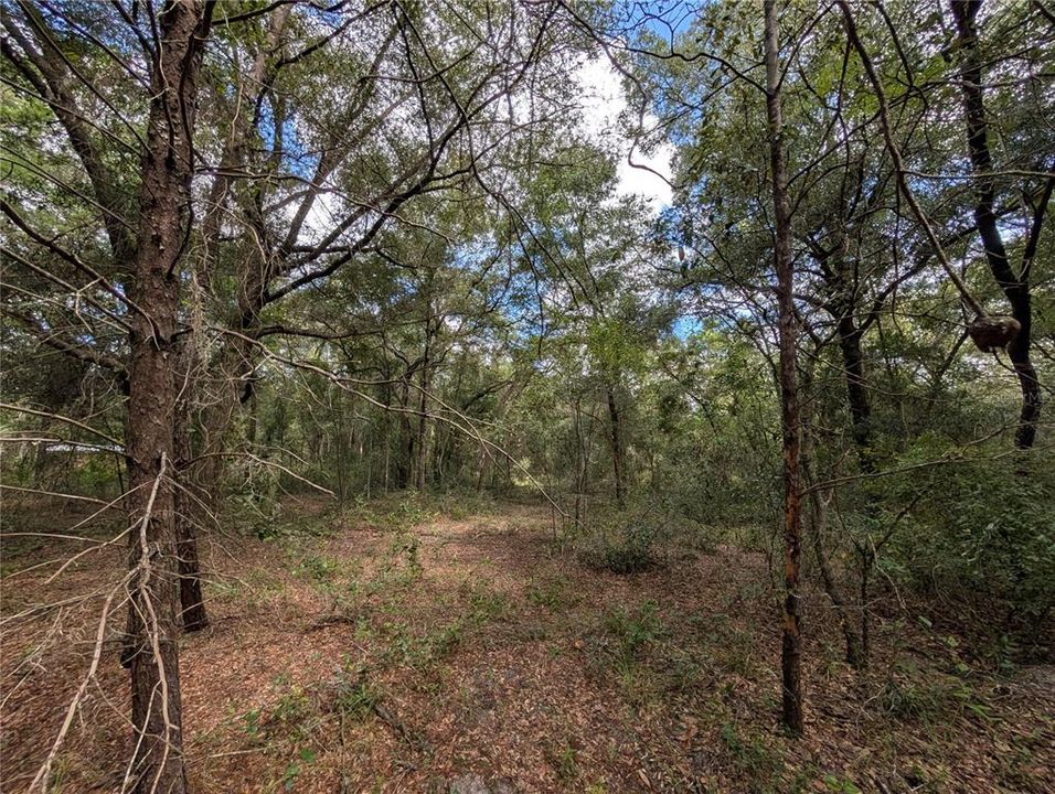 待售: $22,000 (1.00 acres)