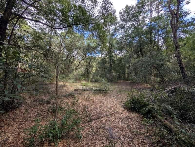 待售: $22,000 (1.00 acres)