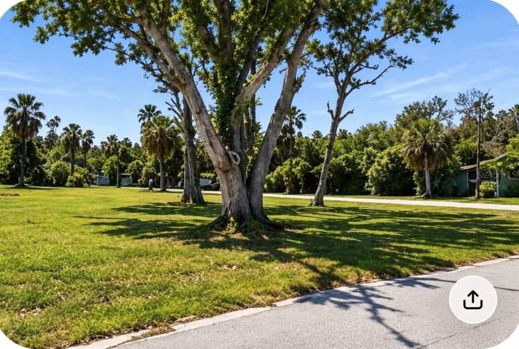 En Venta: $99,000 (0.36 acres)