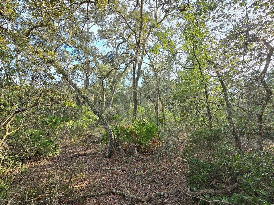 En Venta: $24,990 (0.26 acres)