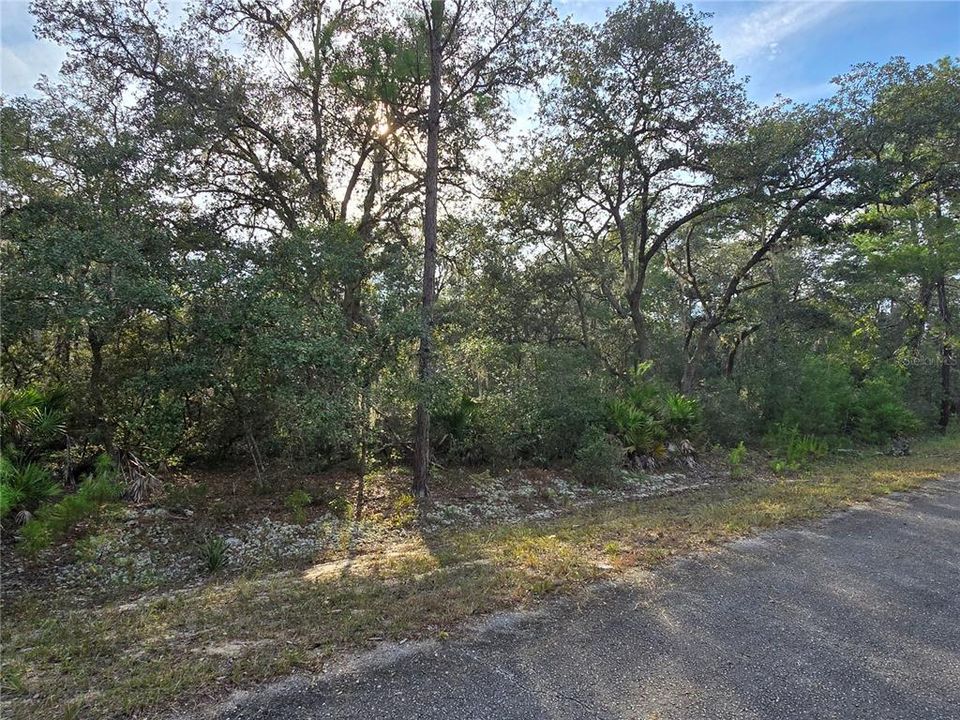 En Venta: $24,990 (0.26 acres)