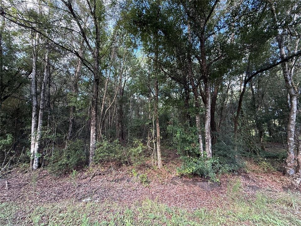待售: $90,000 (2.28 acres)