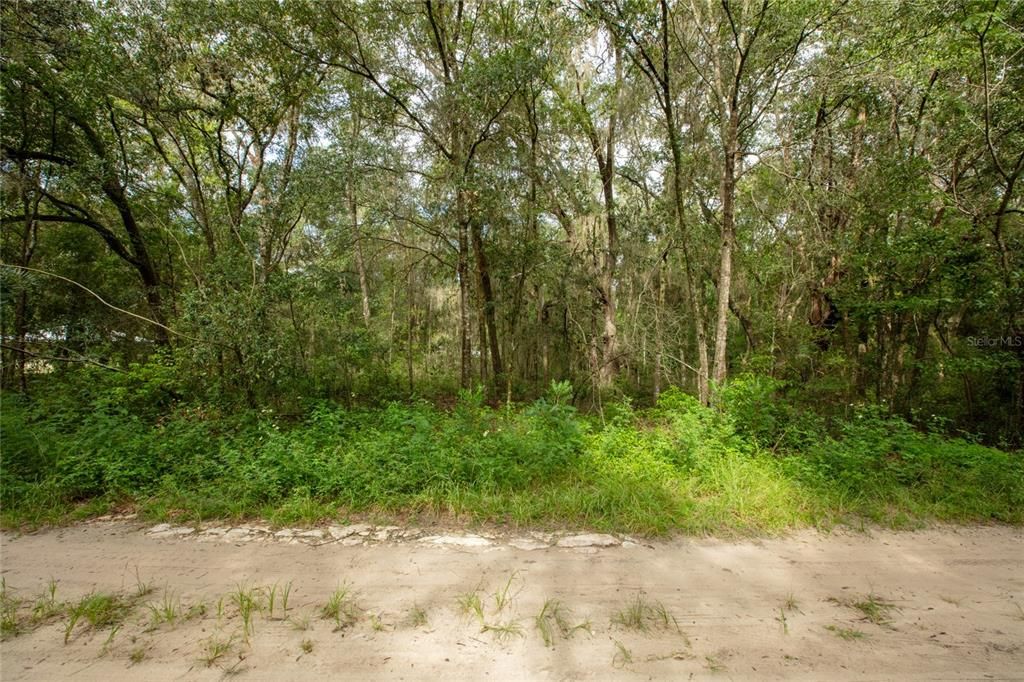待售: $20,000 (0.69 acres)