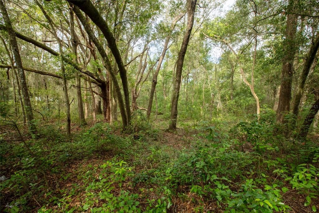 待售: $20,000 (0.69 acres)