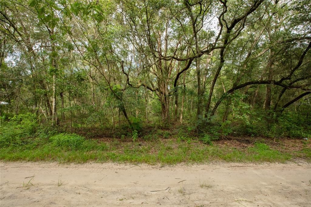 待售: $20,000 (0.69 acres)