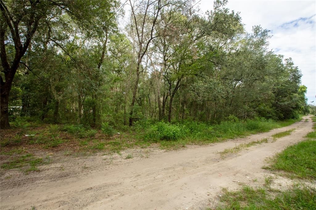 待售: $20,000 (0.69 acres)