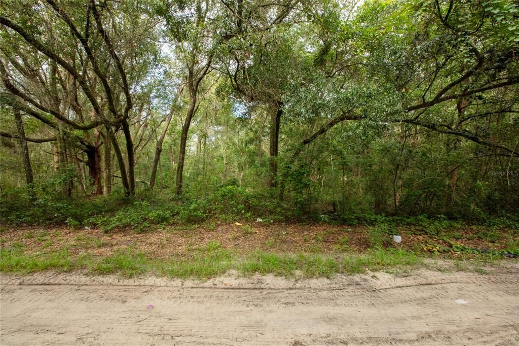 待售: $20,000 (0.69 acres)