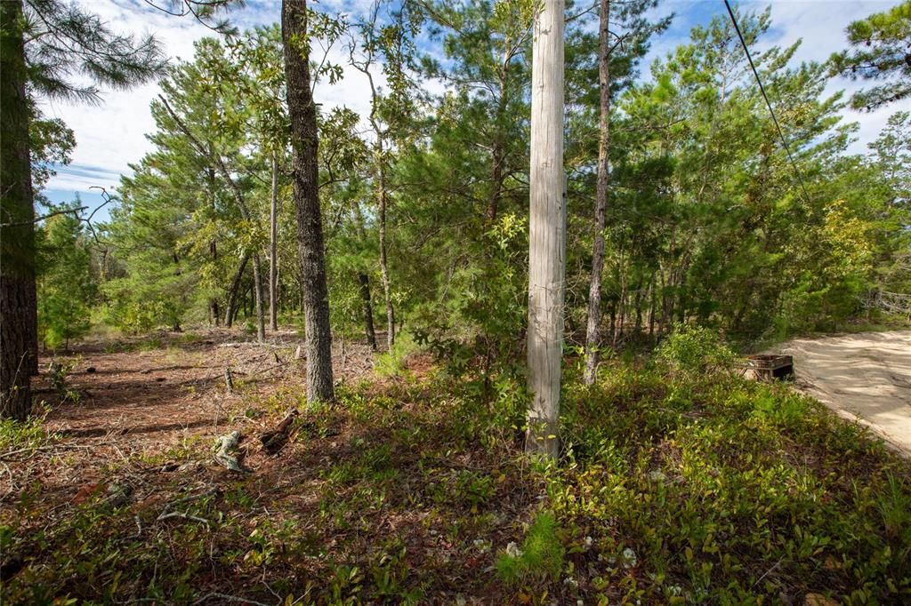 На продажу: $20,000 (0.72 acres)