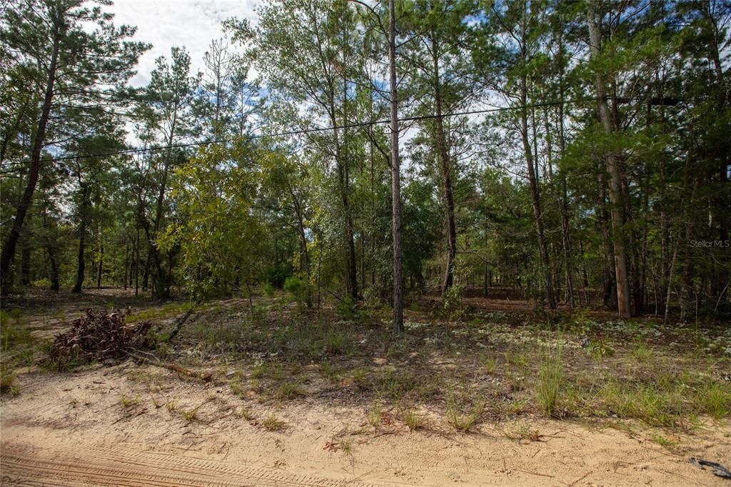 На продажу: $20,000 (0.72 acres)