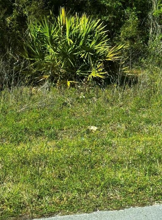 На продажу: $21,950 (0.24 acres)
