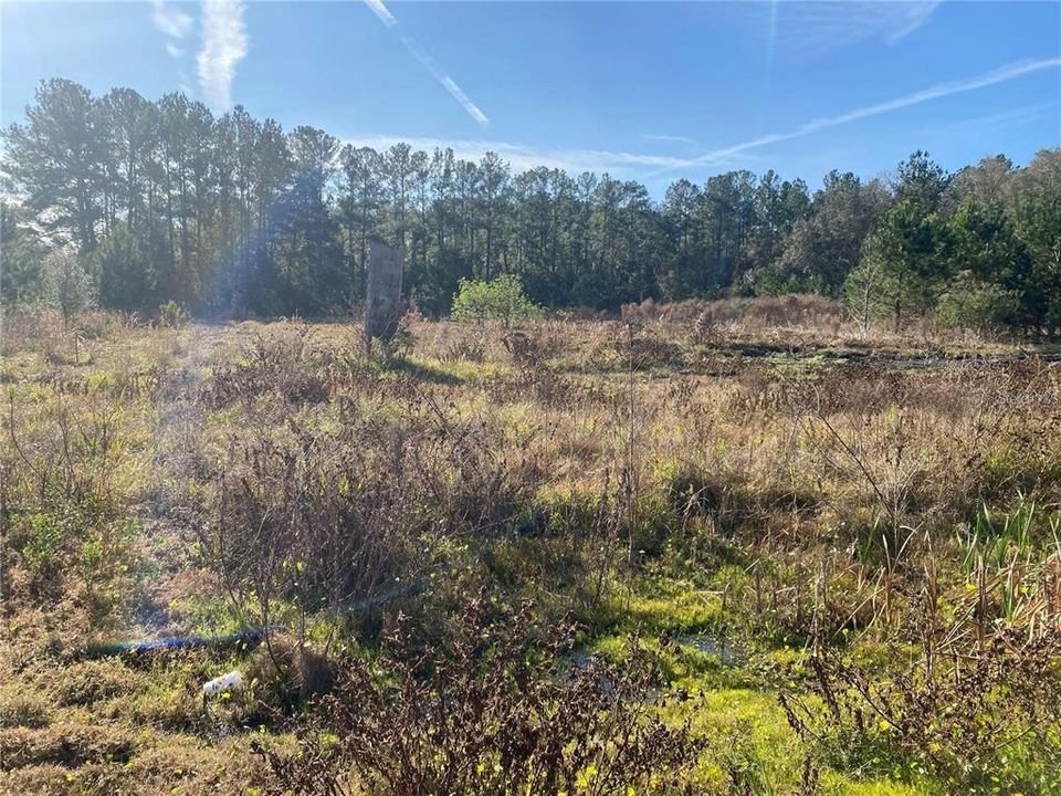 待售: $295,000 (1.83 acres)