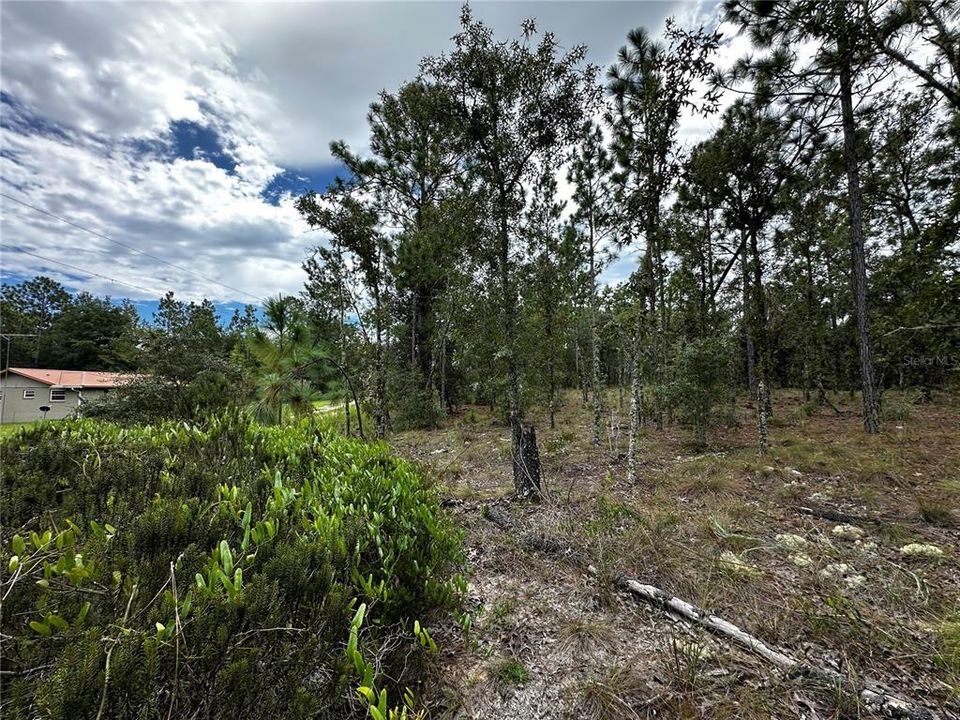 En Venta: $13,000 (0.23 acres)