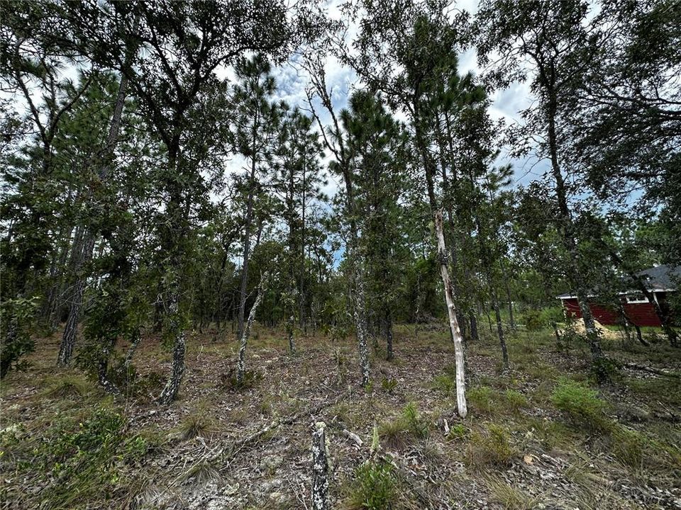En Venta: $13,000 (0.23 acres)