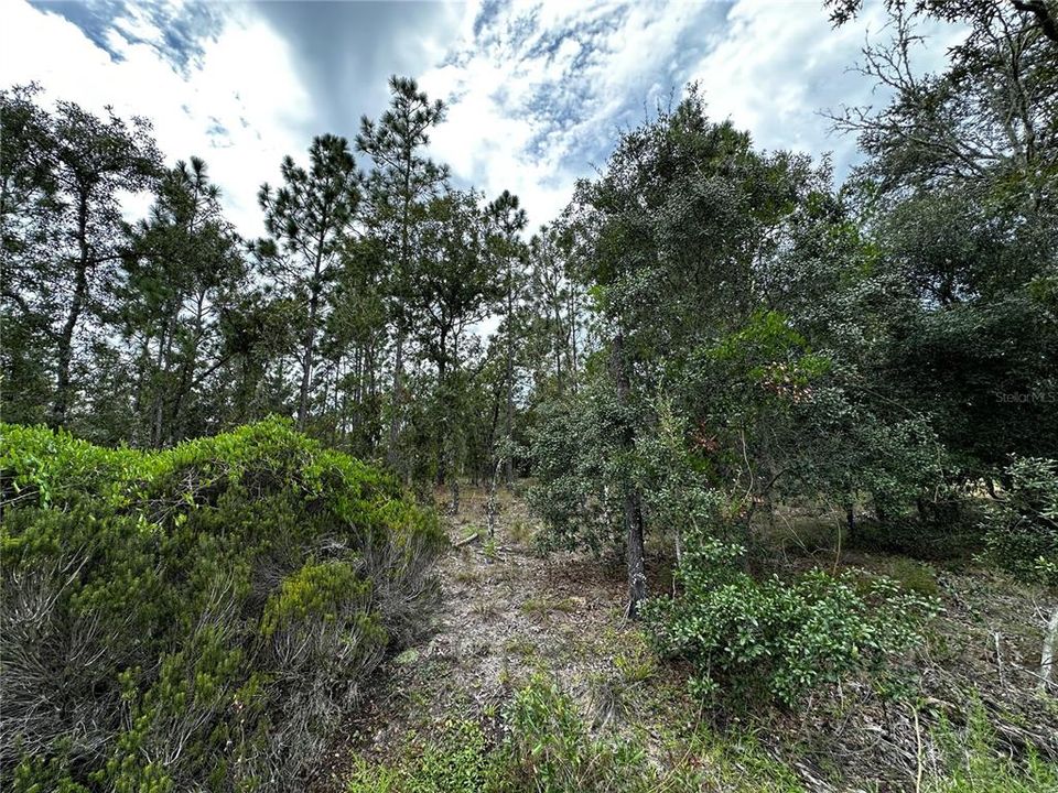 En Venta: $13,000 (0.23 acres)