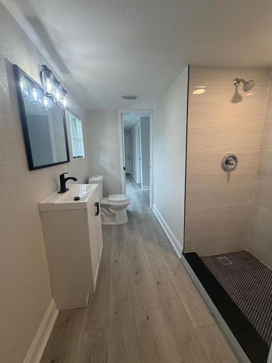 В аренду: $1,800 (2 спален, 2 ванн, 673 Квадратных фут)