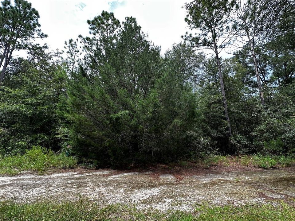 En Venta: $10,000 (0.23 acres)