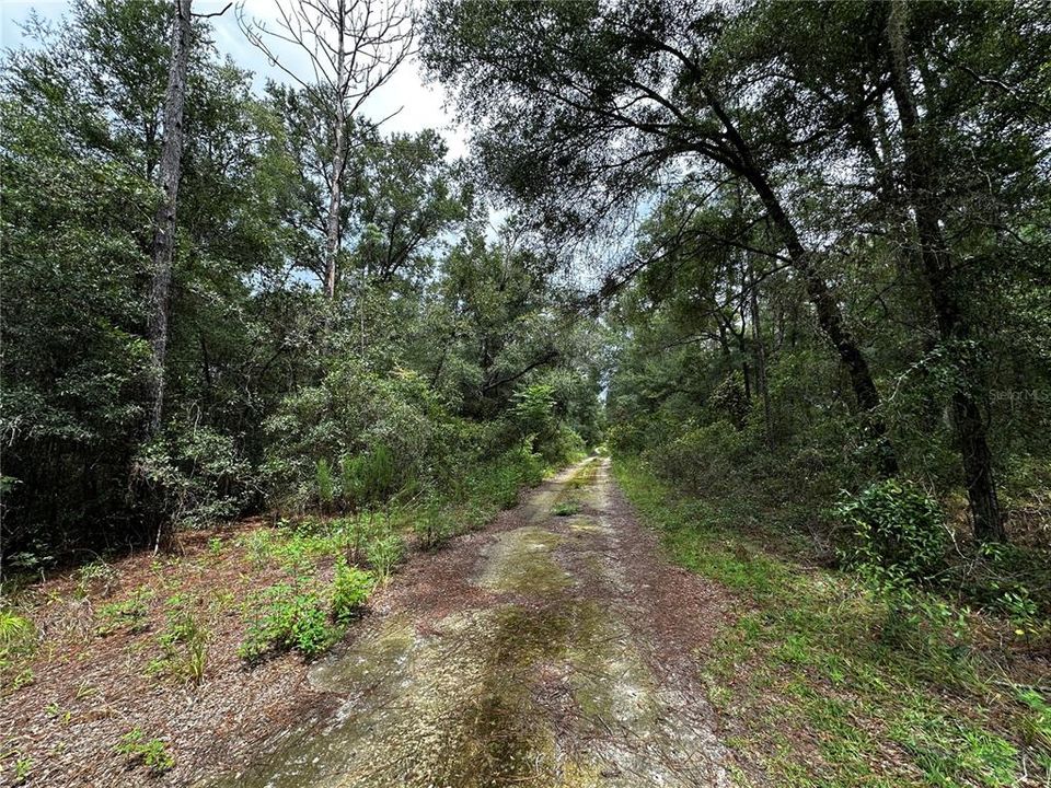 En Venta: $10,000 (0.23 acres)