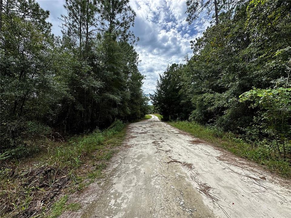 En Venta: $10,000 (0.23 acres)
