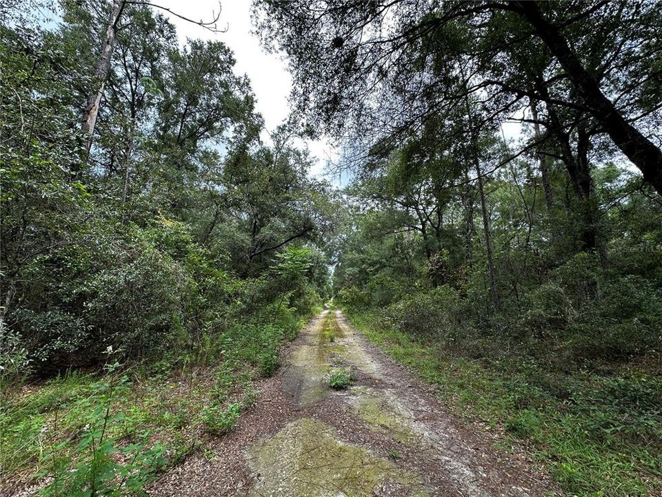 En Venta: $10,000 (0.23 acres)