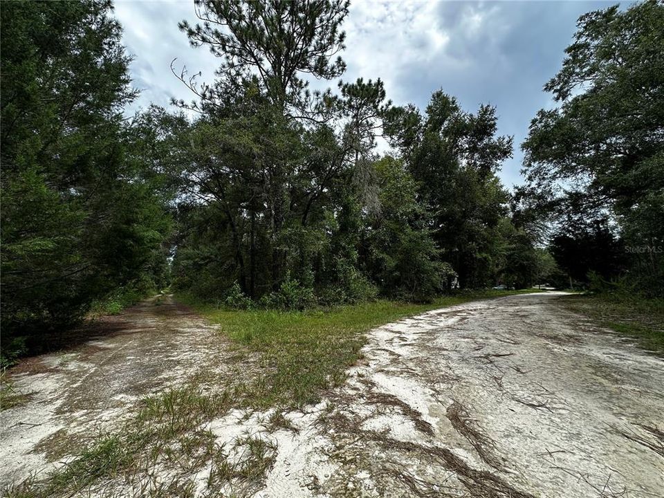 En Venta: $10,000 (0.23 acres)