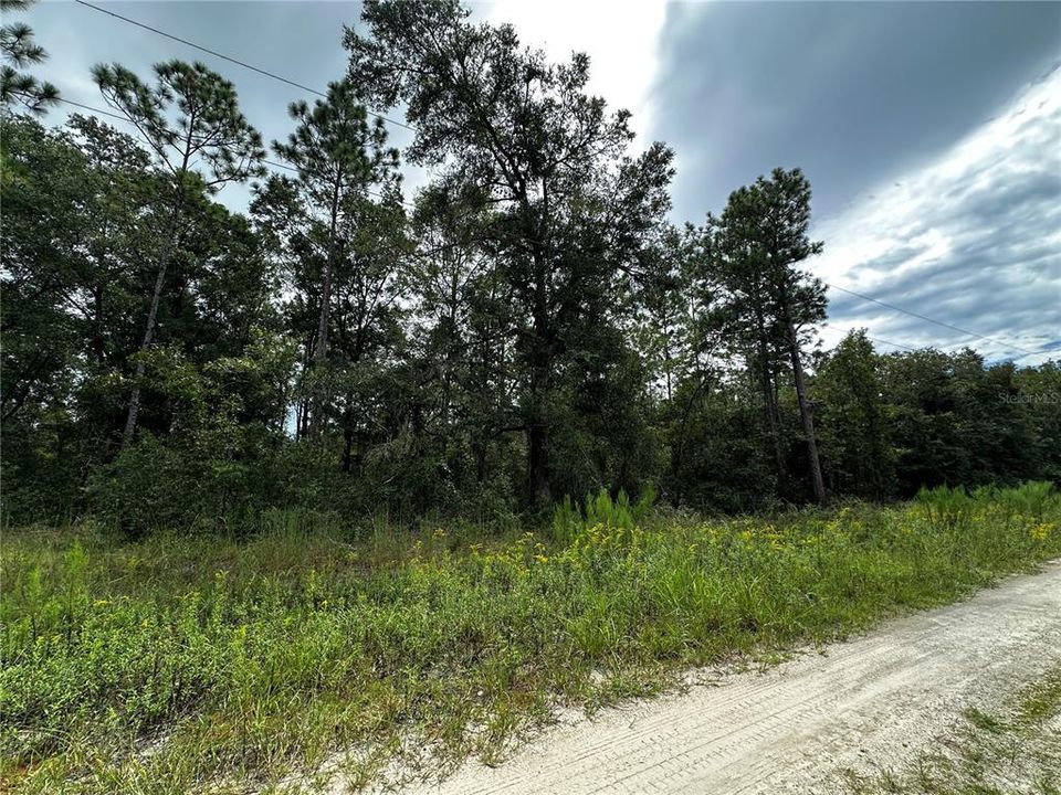 En Venta: $10,000 (0.23 acres)