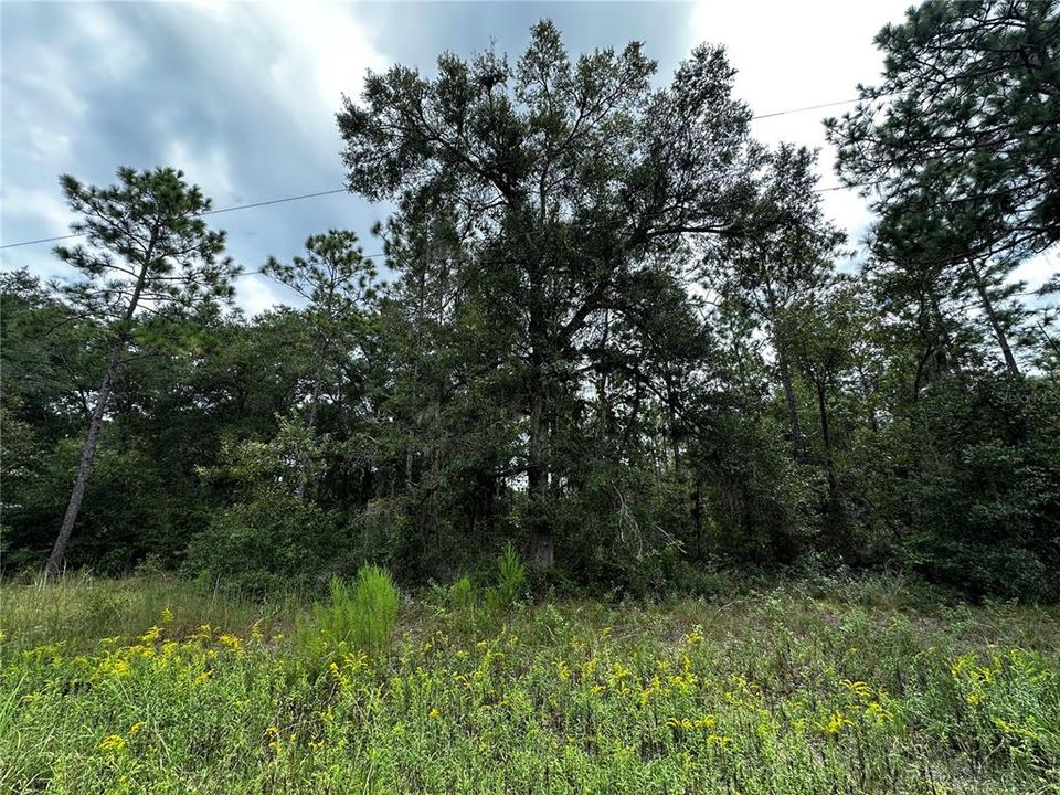 En Venta: $10,000 (0.23 acres)