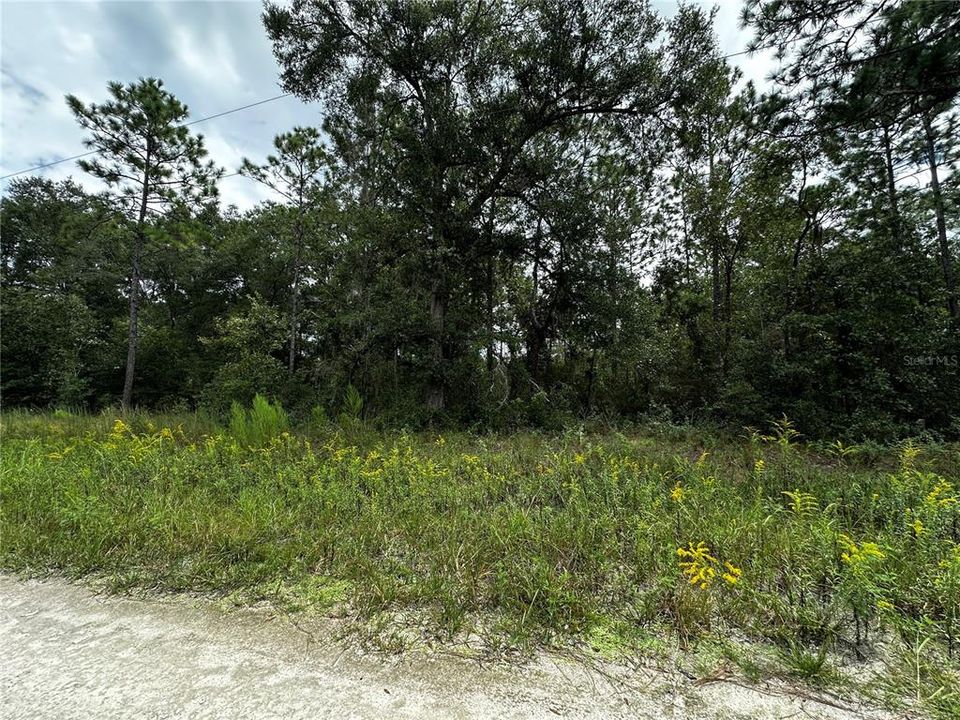 En Venta: $10,000 (0.23 acres)