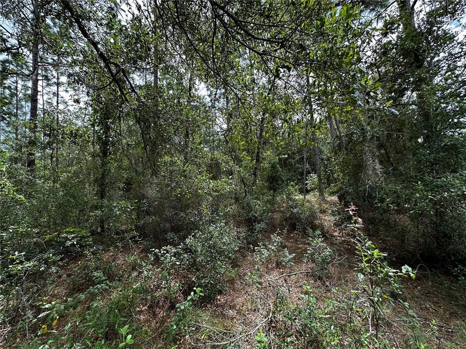 En Venta: $10,000 (0.23 acres)