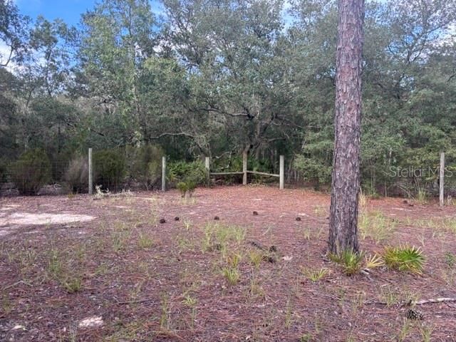 На продажу: $135,000 (3.75 acres)