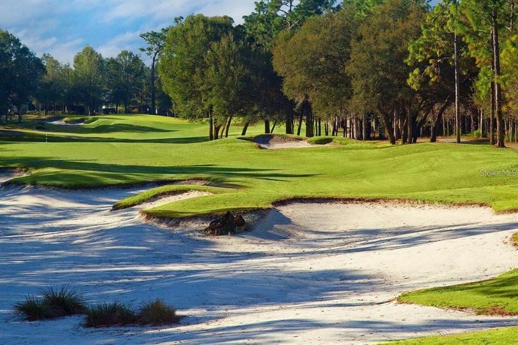For Sale: $640,000 (3 beds, 2 baths, 2455 Square Feet)