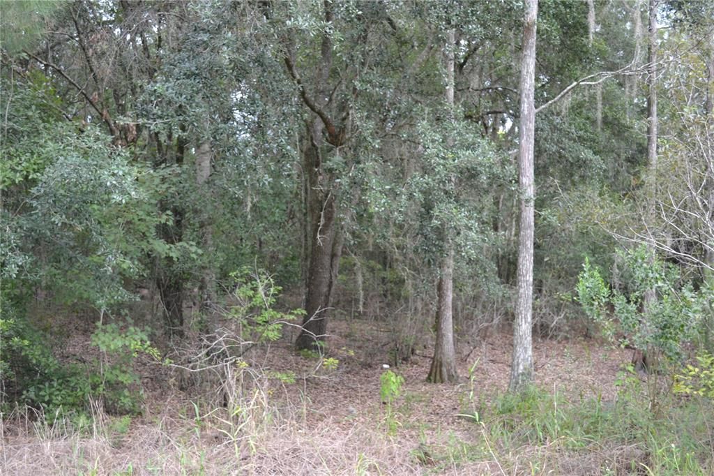 For Sale: $219,900 (8.29 acres)