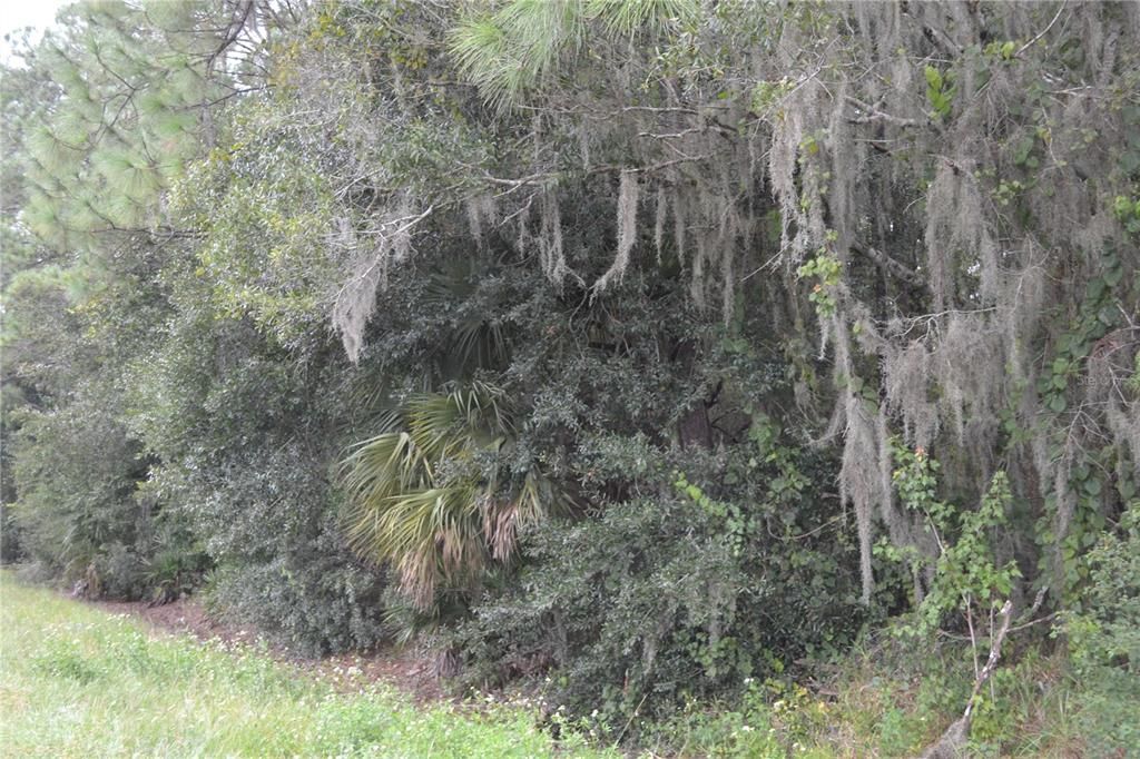For Sale: $219,900 (8.29 acres)