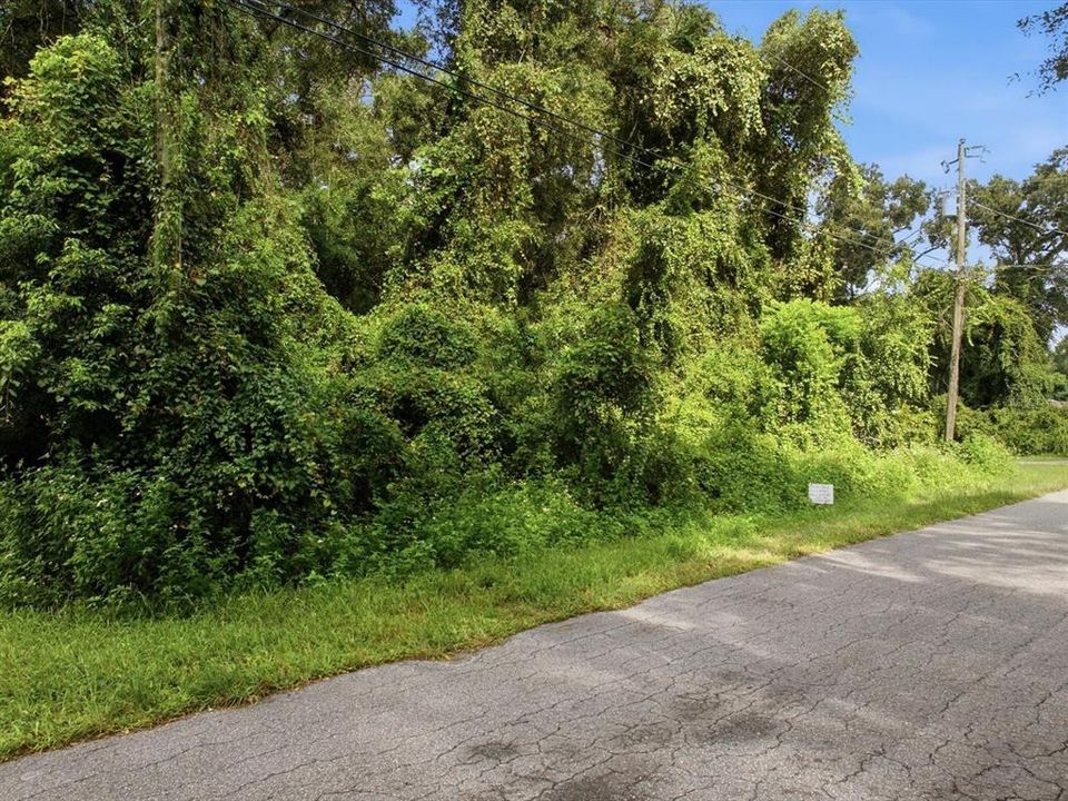 For Sale: $17,000 (0.24 acres)