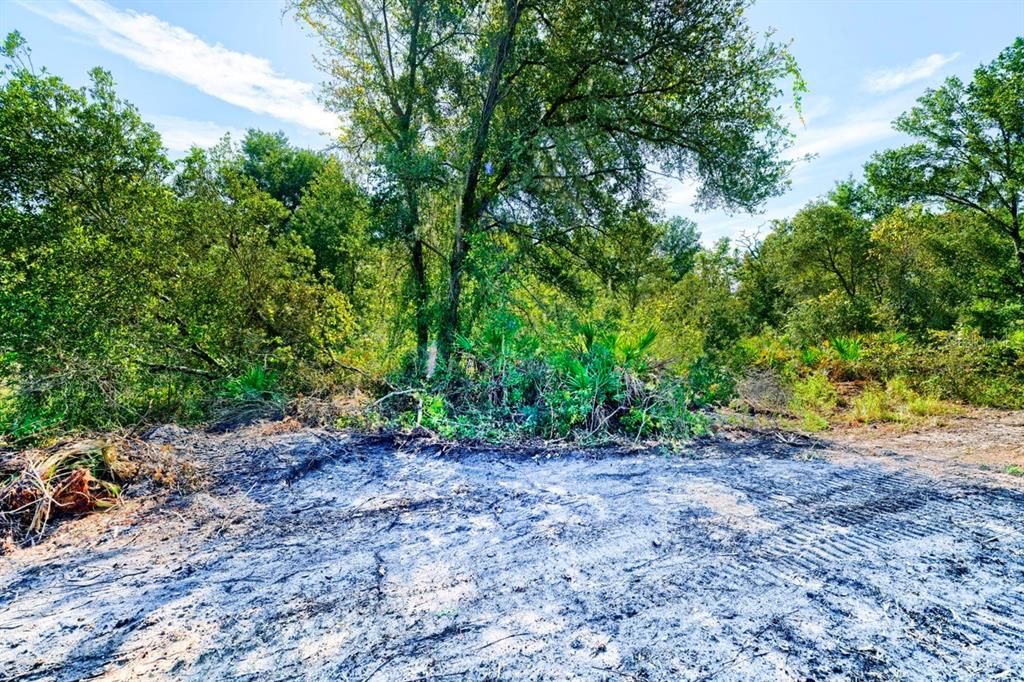 待售: $29,000 (0.62 acres)