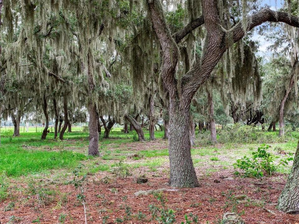 待售: $2,100,000 (114.24 acres)