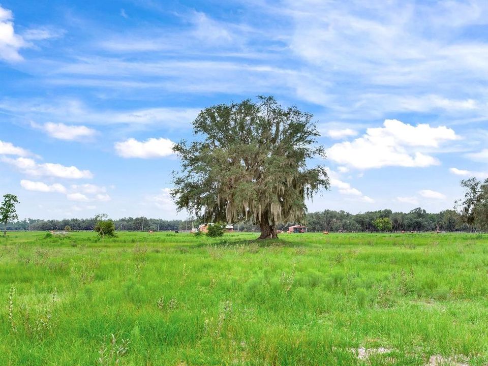 待售: $2,100,000 (114.24 acres)