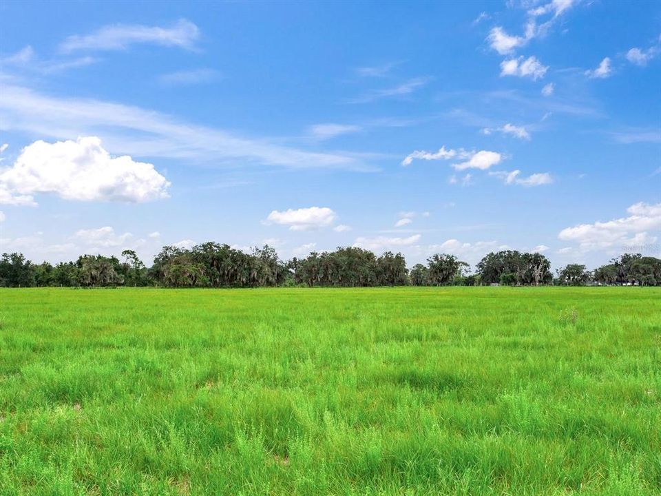 待售: $2,100,000 (114.24 acres)
