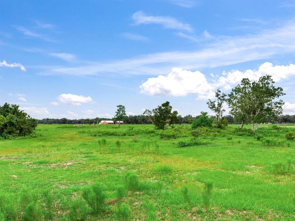 待售: $2,100,000 (114.24 acres)