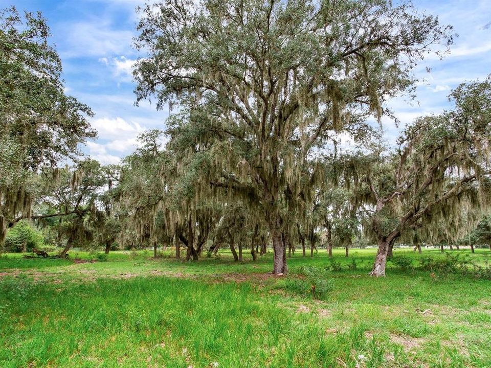 待售: $2,100,000 (114.24 acres)