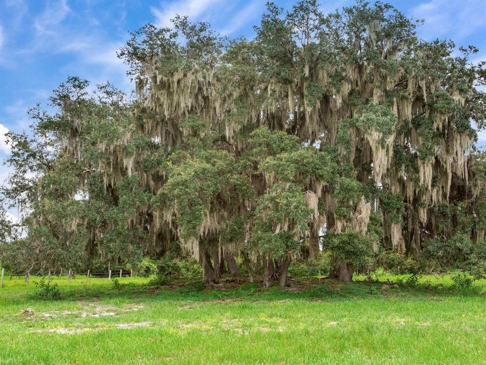 待售: $2,100,000 (114.24 acres)