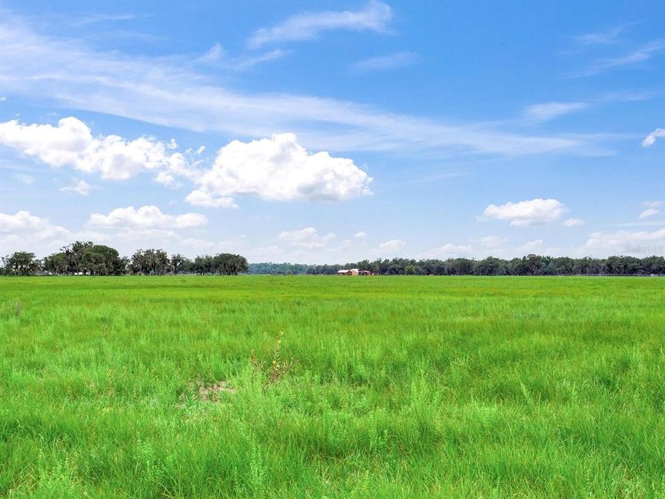 待售: $2,100,000 (114.24 acres)