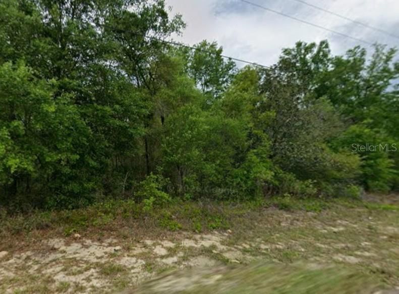 На продажу: $21,900 (0.31 acres)