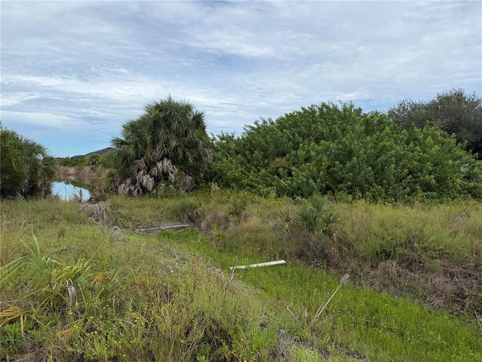 En Venta: $250,000 (0.48 acres)