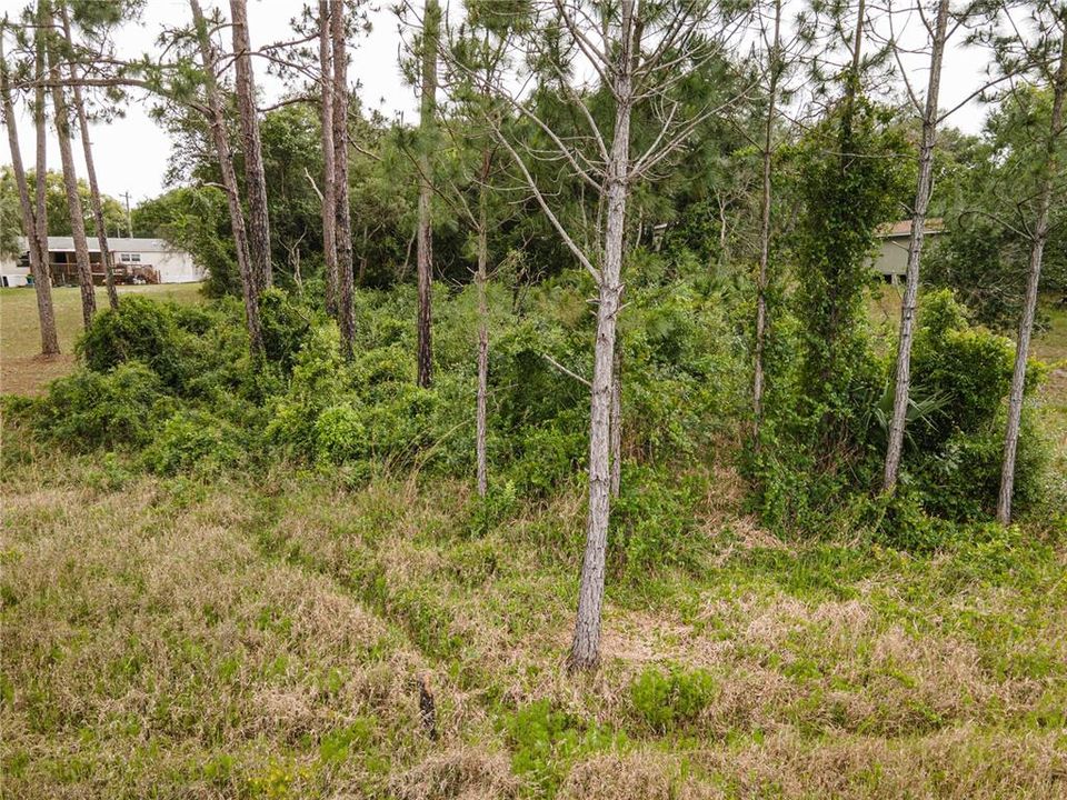 待售: $49,999 (0.43 acres)