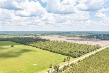 For Sale: $265,000 (41.15 acres)